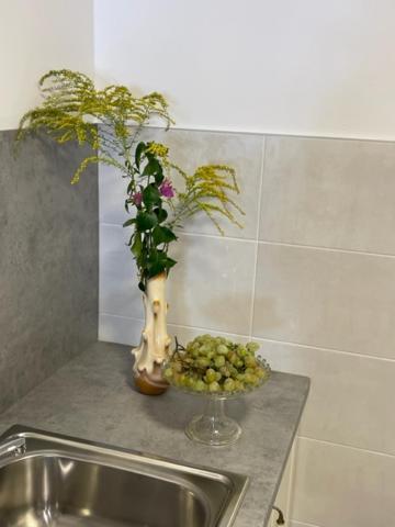 Apartment Concetta Cres Εξωτερικό φωτογραφία